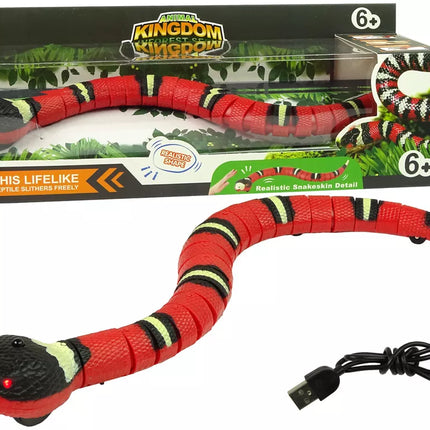 Nuotoliniu būdu valdoma gyvatė Touch raudonos ir juodos spalvos dryžiais