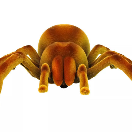 Valdomas nuotoliniu būdu tarantulo voras infraraudonųjų spindulių rudas R/C