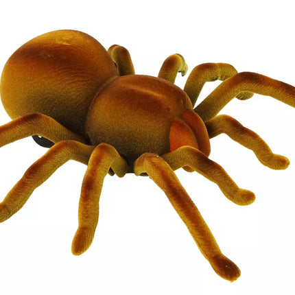 Valdomas nuotoliniu būdu tarantulo voras infraraudonųjų spindulių rudas R/C