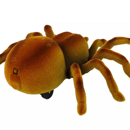 Valdomas nuotoliniu būdu tarantulo voras infraraudonųjų spindulių rudas R/C