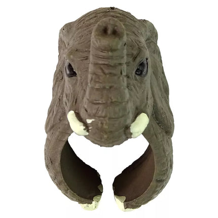 Žiedas ant rankos, mokomieji gyvūnai, dramblys