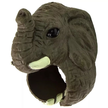 Žiedas ant rankos, mokomieji gyvūnai, dramblys