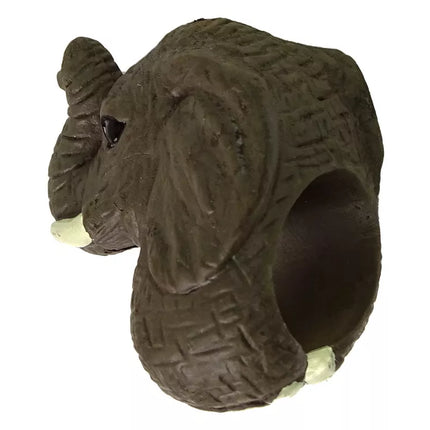 Žiedas ant rankos, mokomieji gyvūnai, dramblys