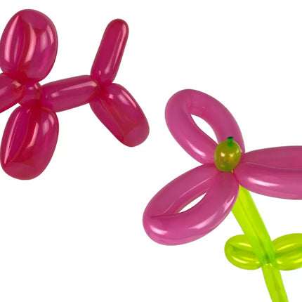 Balionų modeliavimo rinkinys vakarėliui