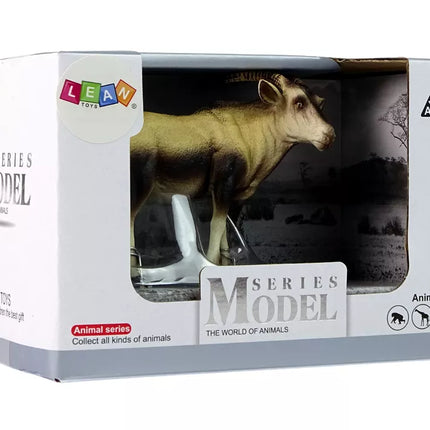 Antilopės figūrėlė, Afrikos zoologijos sodo gyvūnai