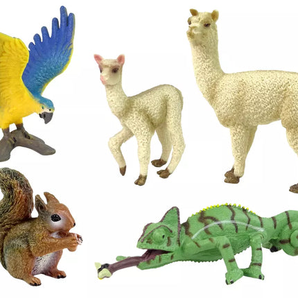 Figūrėlių gyvūnų rinkinys Papūga Panda
