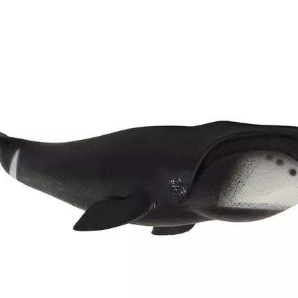 Didelė Grenlandijos banginio kolekcinė figūrėlė „Pasaulis jūra“