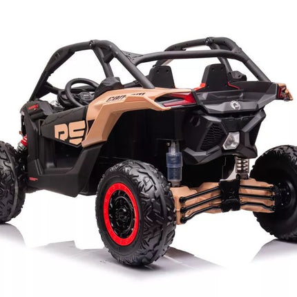 Automobilinis akumuliatorius Buggy DK-CA001 Can-am RS