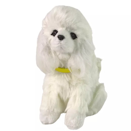 Interaktyvus pliušinis šuo, minkštas kailis, pudelio veislė. Paglostykite jam galvą ir sužinokite jo funkcijas.