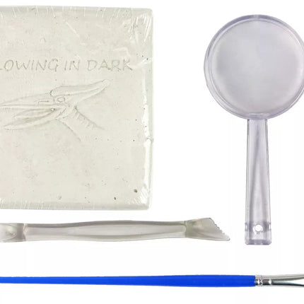 Archeologinis kasinėjimų rinkinys Dinozauro skeletas Pteranodonas 3D Holograma