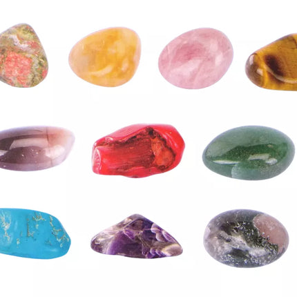 Archeologinis kasinėjimų rinkinys Žemės įrankiai Mineralai Fiche