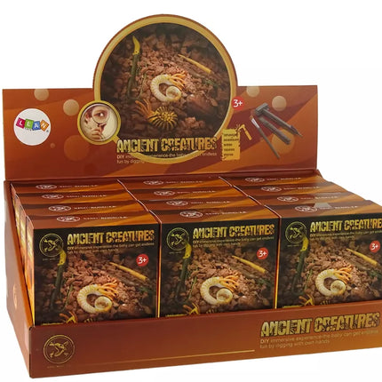 Senovės būtybių kasimo rinkinys su amonitu staigmena