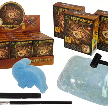 Senovės būtybių kasimo rinkinys su amonitu staigmena