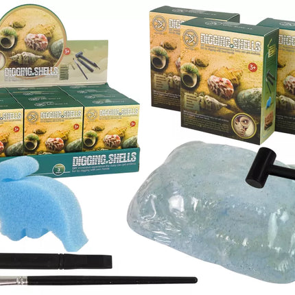 Kasinėjimų kriauklių rinkinys, trys modeliai, siurprizas