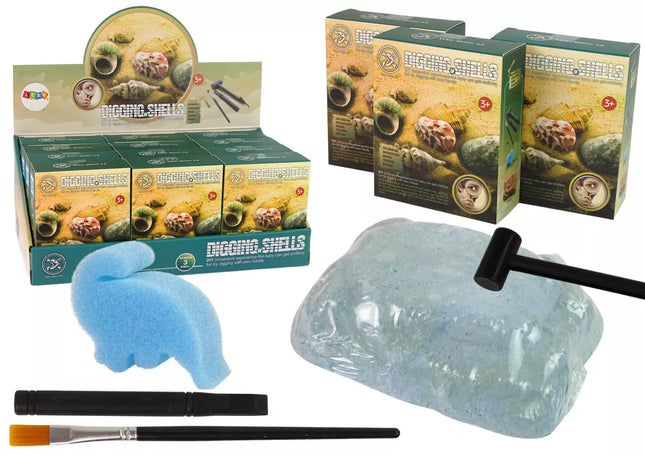 Kasinėjimų kriauklių rinkinys, trys modeliai, siurprizas