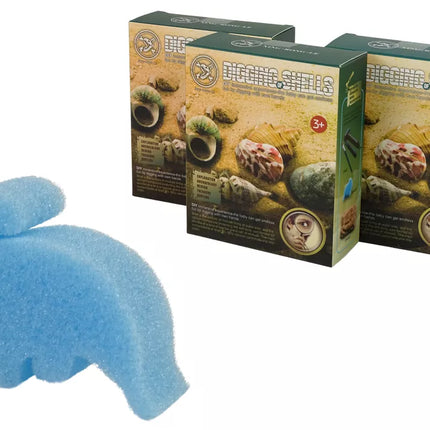 Kasinėjimų kriauklių rinkinys, trys modeliai, siurprizas