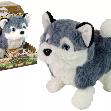 Interaktyvus haskio šuns talismanas vaikšto, judina uodegą, skleidžia garsus