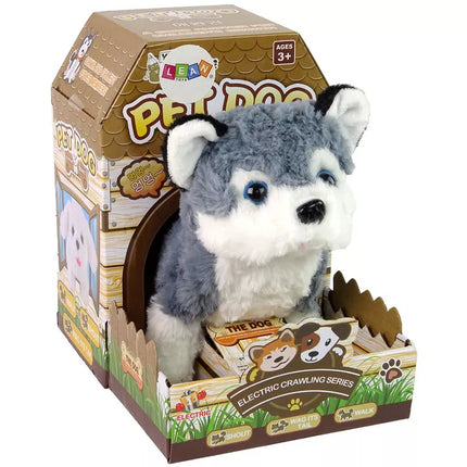 Interaktyvus haskio šuns talismanas vaikšto, judina uodegą, skleidžia garsus