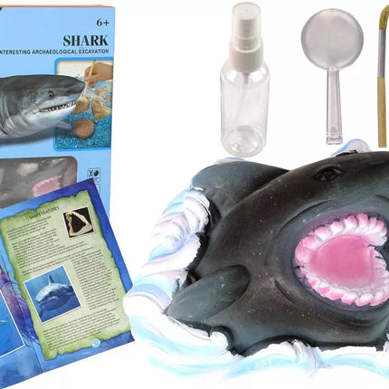 Amonito ryklio kasinėjimų edukacinis rinkinys