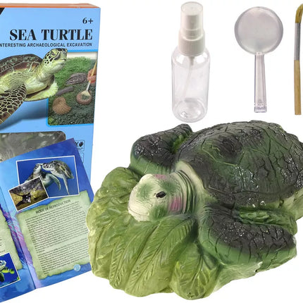 Amonito vėžlio kasinėjimo edukacinis rinkinys