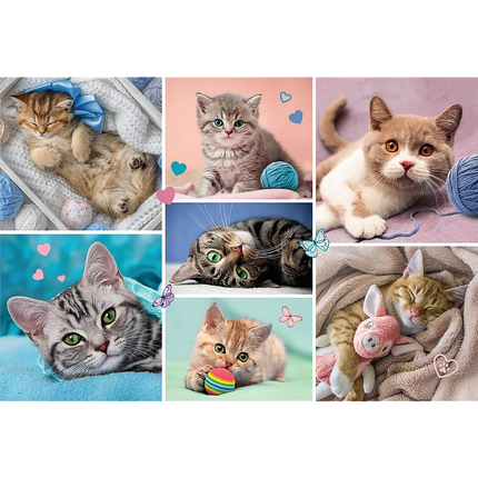 Dėlionė – 100 – Kačių pasaulyje – Trefl 16420