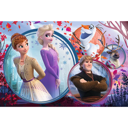 Dėlionė - 160 detalių - Seserų nuotykiai - Disney Frozen Trefl 15374