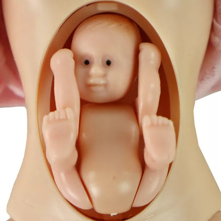 Lėlių šeima Berniukas Mergaitė Nėščia Lucy