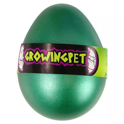 Stebuklingas vėžlio kiaušinis, išsirita ir užauga iki 6 cm.