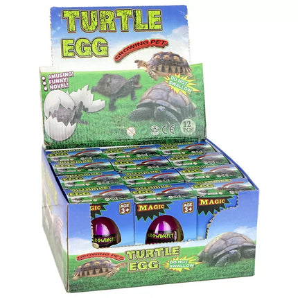 Stebuklingas vėžlio kiaušinis, išsirita ir užauga iki 6 cm.