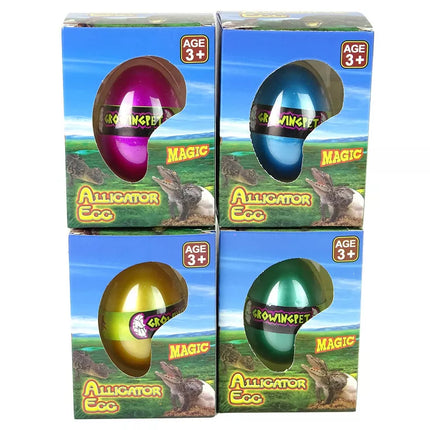 Augantis krokodilo aligatoriaus kiaušinis, 6 cm