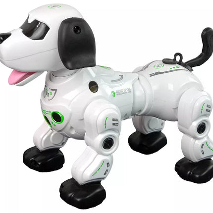 Interaktyvus nuotoliniu būdu valdomas robotas šuniukas