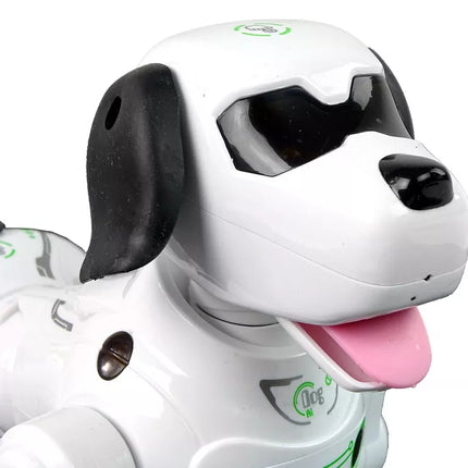 Interaktyvus nuotoliniu būdu valdomas robotas šuniukas