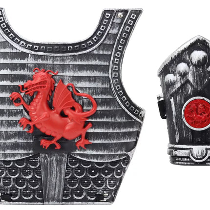 Samurajaus riterio kostiumo komplektas: šarvai, kardas, apyrankė