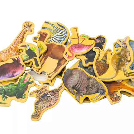 Medinių magnetukų rinkinys Gyvūnai 20 vienetų Spalvingi