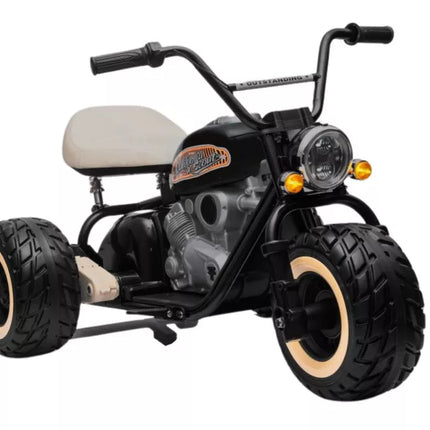 Elektrinis triratukas LL6688 Juodas 24V