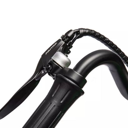 Akumuliatorinis variklis A9902 36V žalias