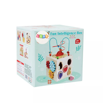 Edukacinis kubas-rūšiuoklis sensoriniam lavinimui, 5 lygiai, medinis