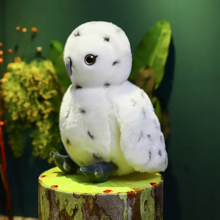 Pliušinė pelėda, paukštis, pliušinis žaislas, talismanas, minkštas žaislas, balta, 23 cm