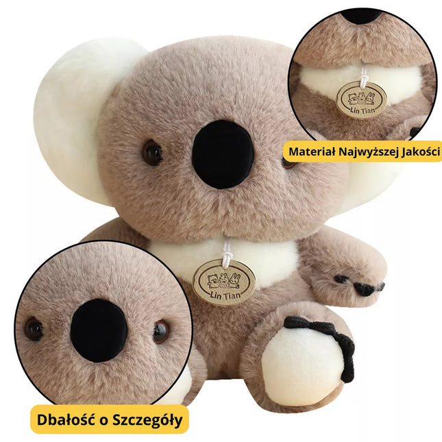 Pliušinis talismanas, minkštas žaislas koala, pilkas, 23 cm