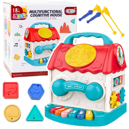 Edukacinis interaktyvus namelis-kubas barškutis rūšiuoklis su garsais, spalvingas