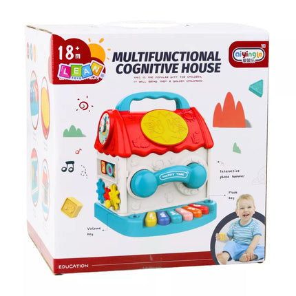 Edukacinis interaktyvus namelis-kubas barškutis rūšiuoklis su garsais, spalvingas