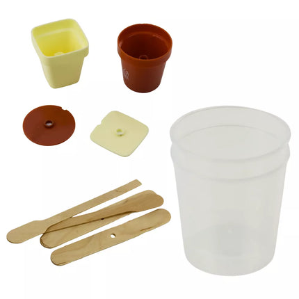 Edukacinis rinkinys – magiškojo kristalų medžio auginimas