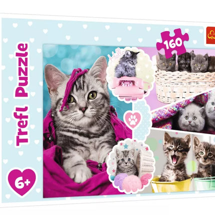 Dėlionė 160 det. Mieli kačiukai Trefl 15371