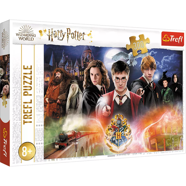Harry Potter dėlionė 300 vnt. Paslaptingasis Haris Poteris 23001