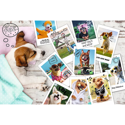 Dėlionė - "300" - Šventinės nuotraukos / Trefl 23003