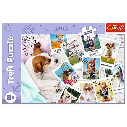 Dėlionė - "300" - Šventinės nuotraukos / Trefl 23003