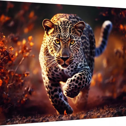 Dėlionė - "1000 Premium Plus" - Photo Odyssey: Laukinių Leopardų Trefl 10818