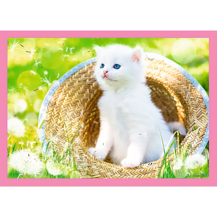 Dėlionė - "4w1" - Juokingi kačiukai Trefl 34396