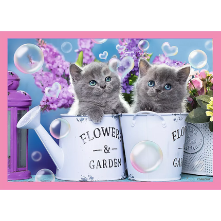 Dėlionė - "4w1" - Juokingi kačiukai Trefl 34396