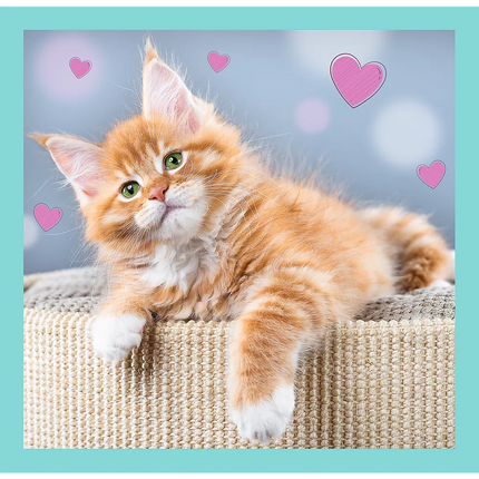 Dėlionė - „3 viename“ - Mieli gyvūnai Trefl 34862